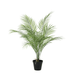 Artificial Kentia Palm – Luxe Kunstplant – 65 cm – Onderhoudsvrij & Elegant - Bivakshop