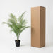 Artificial Kentia Palm – Luxe Kunstplant – 65 cm – Onderhoudsvrij & Elegant - Bivakshop