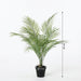 Artificial Kentia Palm – Luxe Kunstplant – 65 cm – Onderhoudsvrij & Elegant - Bivakshop