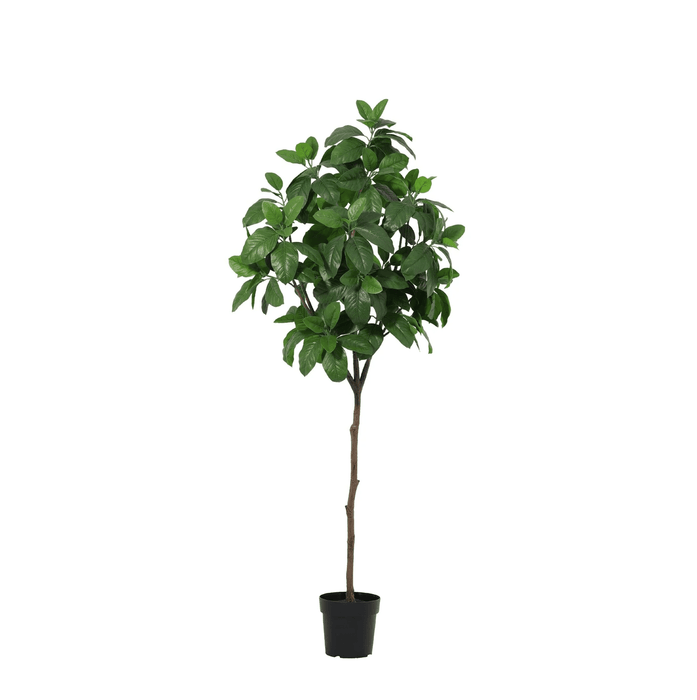 Artificial Magnolia XXL – Realistische Kunstplant – 190 cm – Onderhoudsvrij & Elegant - Bivakshop