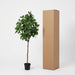 Artificial Magnolia XXL – Realistische Kunstplant – 190 cm – Onderhoudsvrij & Elegant - Bivakshop