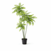 Artificial Mahonia XXL – Realistische Kunstplant – 185 cm – Onderhoudsvrij Groen - Bivakshop