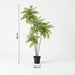 Artificial Mahonia XXL – Realistische Kunstplant – 185 cm – Onderhoudsvrij Groen - Bivakshop