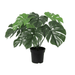 Artificial Monstera Deliciosa – Compacte Kunstplant – 45 cm – Onderhoudsvrij Groen - Bivakshop