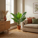 Artificial Philodendron Jungle King – Compacte Kunstplant – 45 cm – Onderhoudsvrij - Bivakshop