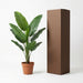 Artificial Philodendron Jungle King – Compacte Kunstplant – 45 cm – Onderhoudsvrij - Bivakshop