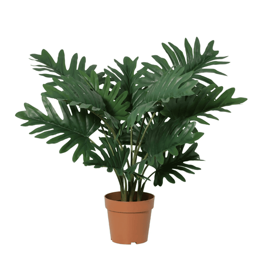 Artificial Philodendron Selloum – Tropische Kunstplant – 70 cm – Onderhoudsvrij - Bivakshop
