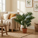 Artificial Philodendron Selloum – Tropische Kunstplant – 70 cm – Onderhoudsvrij - Bivakshop