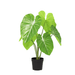 Artificial Philodendron – Tropische Kunstplant – 100 cm – Onderhoudsvrij & Groen - Bivakshop
