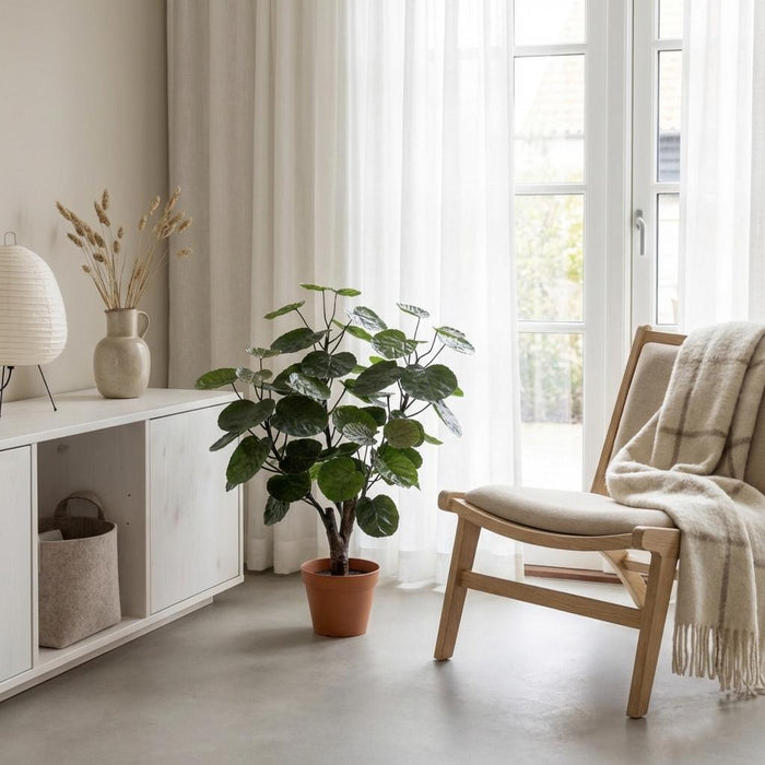 Artificial Polyscias Fabian – Compacte Kunstplant – 55 cm – Onderhoudsvrij Groen - Bivakshop