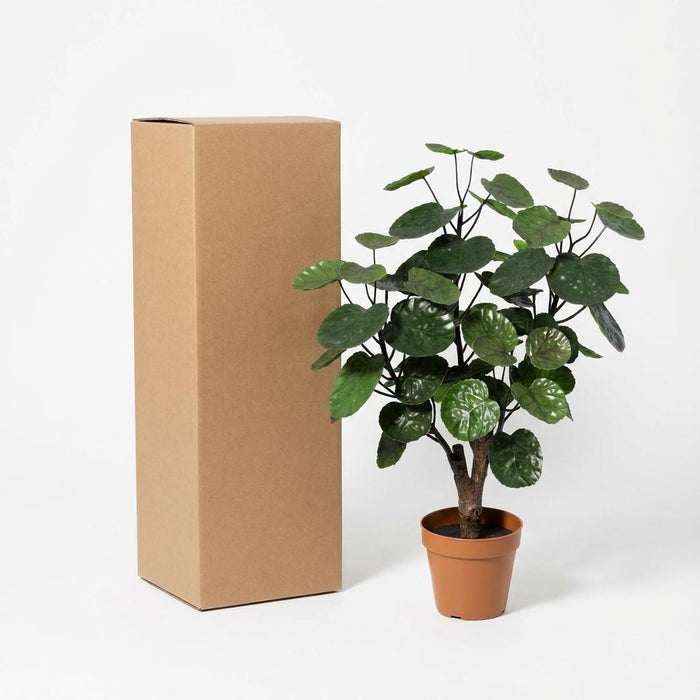Artificial Polyscias Fabian – Compacte Kunstplant – 55 cm – Onderhoudsvrij Groen - Bivakshop