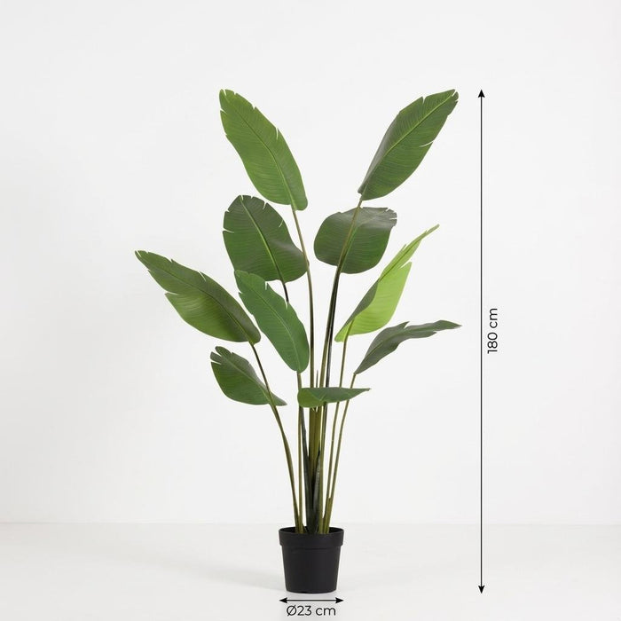 Artificial Strelitzia Nicolai XXL – Luxe Kunstplant – 180 cm – Tropisch & Onderhoudsvrij - Bivakshop