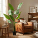 Artificial Strelitzia Nicolai XXL – Luxe Kunstplant – 180 cm – Tropisch & Onderhoudsvrij - Bivakshop