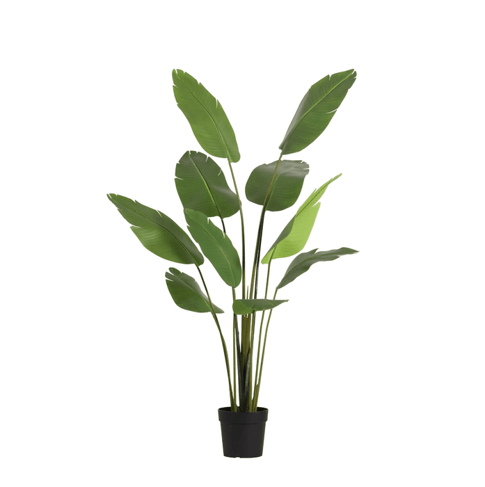 Artificial Strelitzia Nicolai XXL – Luxe Kunstplant – 180 cm – Tropisch & Onderhoudsvrij - Bivakshop
