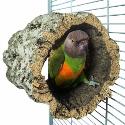 Back Zoo Nature - Kurk Trunkhut – 20 x 15 - 20 cm - Bivakshop