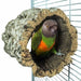 Back Zoo Nature - Kurk Trunkhut – 20 x 15 - 20 cm - Bivakshop