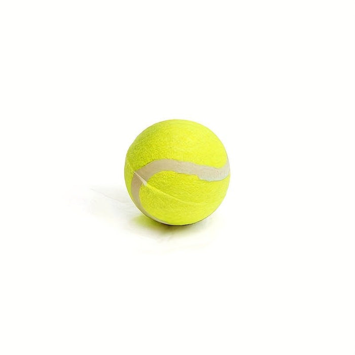 Ballenwerper voor honden - Interactief speelgoed voor apportspellen - Bivakshop