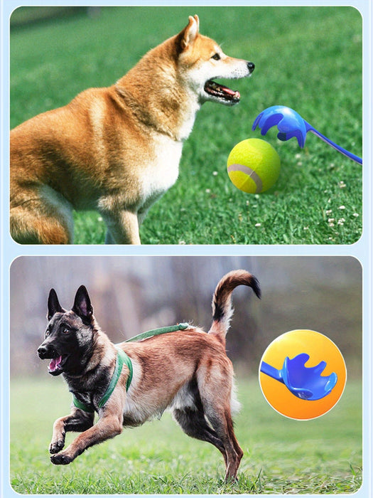 Ballenwerper voor honden - Interactief speelgoed voor apportspellen - Bivakshop