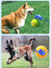 Ballenwerper voor honden - Interactief speelgoed voor apportspellen - Bivakshop