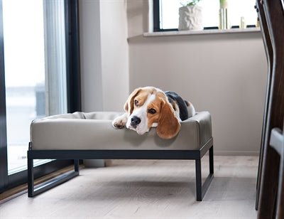 Bia – Air Frame voor Bia Bed – Stalen Onderstel – Zwart Design - Bivakshop