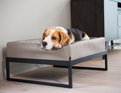 Bia – Air Frame voor Bia Bed – Stalen Onderstel – Zwart Design - Bivakshop