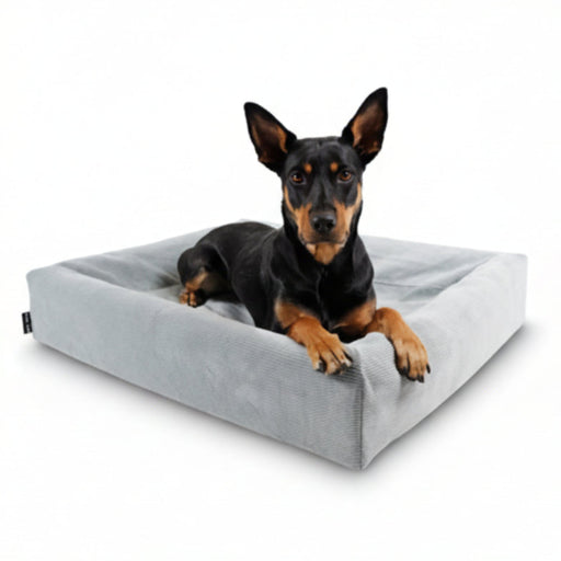 Bia – Rib Hoes voor Bia Bed – Zacht Corduroy Comfort – Grijs - Bivakshop