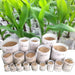 Biologisch afbreekbare nonwoven kweekzakken - Duurzame plantenzakjes voor tuin & kwekerij - Bivakshop