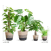Easy Care Plantenbox - Medium - Met Mand Lissabon Zwart - Bivakshop