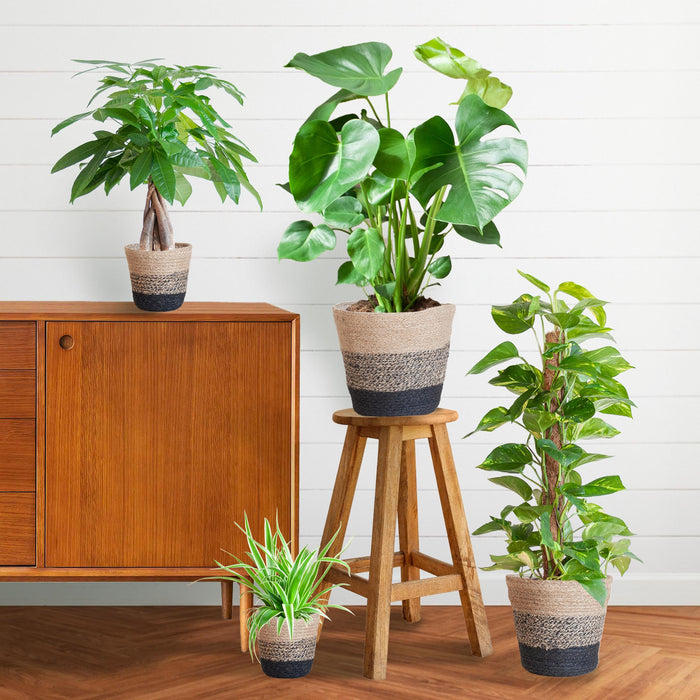 Easy Care Plantenbox - Medium - Met Mand Lissabon Zwart - Bivakshop