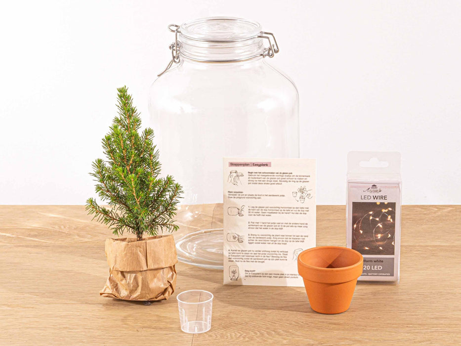 Easyplant Kerst Decoratie – Gesloten mini - ecosysteem in weckpot – Zelfvoorzienend - Bivakshop