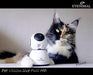 Eyenimal - Pet Vision Live HD Camera (Geluid & Beweging) - Bivakshop