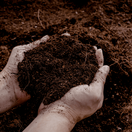 Garden Basics – Universele Potgrond – 30L – Binnen & Buiten - Bivakshop