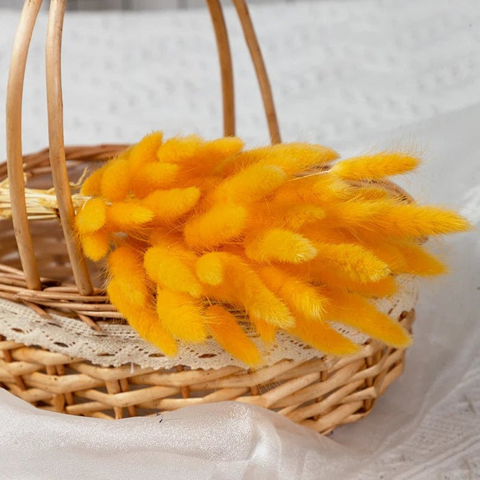 Gedroogd Bunny Tail Grass (50 Stuks) – Fluffy Hazenstaartjes – Natuurlijke Boho & Bruiloft Decoratie - Bivakshop