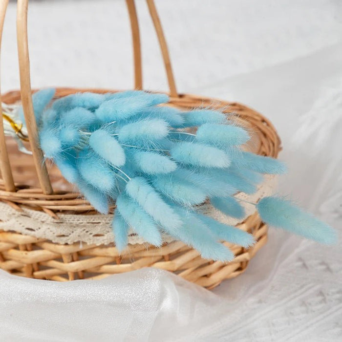 Gedroogd Bunny Tail Grass (50 Stuks) – Fluffy Hazenstaartjes – Natuurlijke Boho & Bruiloft Decoratie - Bivakshop