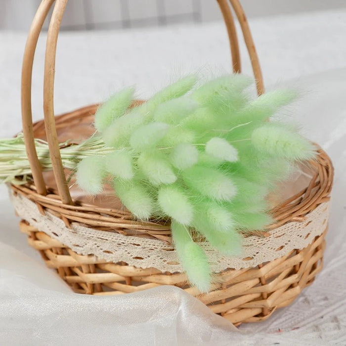 Gedroogd Bunny Tail Grass (50 Stuks) – Fluffy Hazenstaartjes – Natuurlijke Boho & Bruiloft Decoratie - Bivakshop