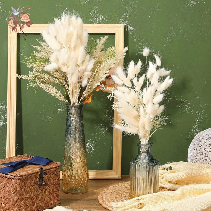 Gedroogd Bunny Tail Grass (50 Stuks) – Fluffy Hazenstaartjes – Natuurlijke Boho & Bruiloft Decoratie - Bivakshop