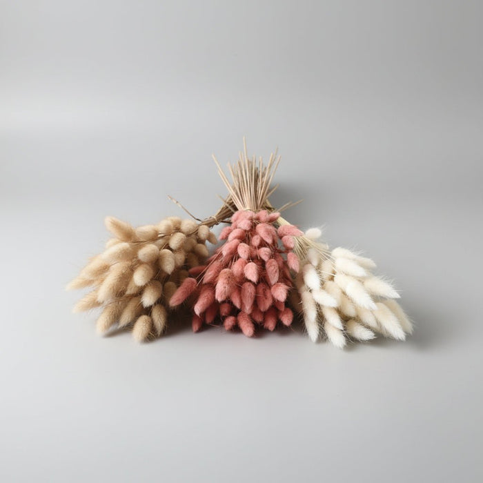 Gedroogd Bunny Tail Grass (50 Stuks) – Fluffy Hazenstaartjes – Natuurlijke Boho & Bruiloft Decoratie - Bivakshop