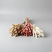 Gedroogd Bunny Tail Grass (50 Stuks) – Fluffy Hazenstaartjes – Natuurlijke Boho & Bruiloft Decoratie - Bivakshop