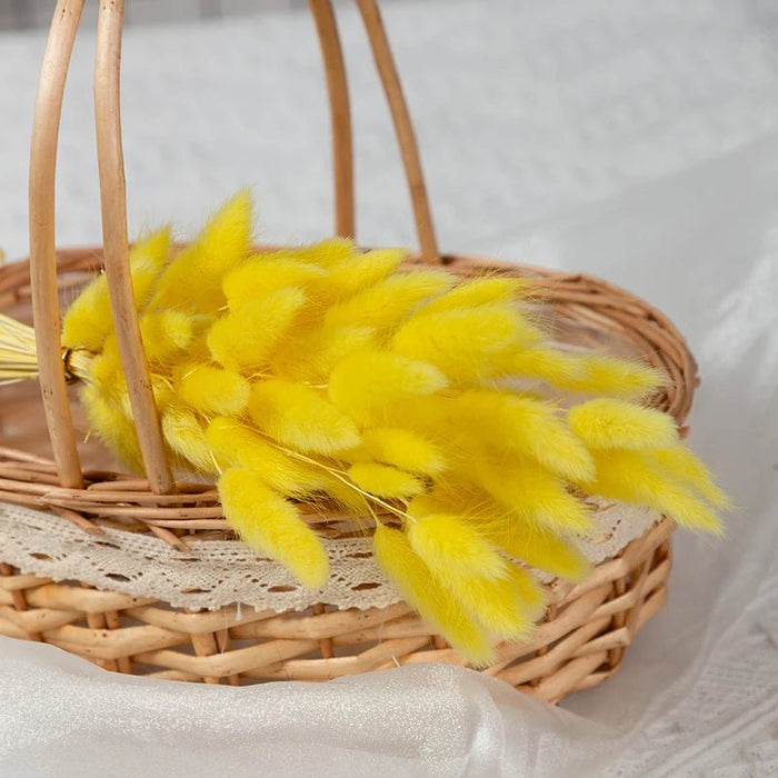 Gedroogd Bunny Tail Grass (50 Stuks) – Fluffy Hazenstaartjes – Natuurlijke Boho & Bruiloft Decoratie - Bivakshop