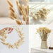 Gedroogd Bunny Tail Grass (50 Stuks) – Fluffy Hazenstaartjes – Natuurlijke Boho & Bruiloft Decoratie - Bivakshop