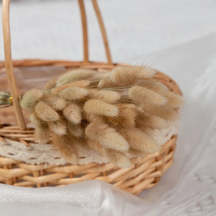 Gedroogd Bunny Tail Grass (50 Stuks) – Fluffy Hazenstaartjes – Natuurlijke Boho & Bruiloft Decoratie - Bivakshop