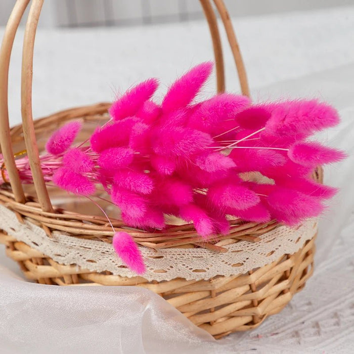 Gedroogd Bunny Tail Grass (50 Stuks) – Fluffy Hazenstaartjes – Natuurlijke Boho & Bruiloft Decoratie - Bivakshop
