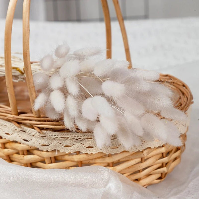 Gedroogd Bunny Tail Grass (50 Stuks) – Fluffy Hazenstaartjes – Natuurlijke Boho & Bruiloft Decoratie - Bivakshop