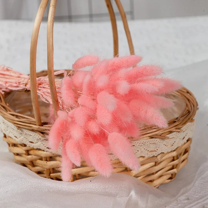 Gedroogd Bunny Tail Grass (50 Stuks) – Fluffy Hazenstaartjes – Natuurlijke Boho & Bruiloft Decoratie - Bivakshop