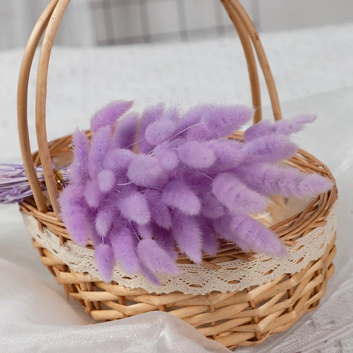 Gedroogd Bunny Tail Grass (50 Stuks) – Fluffy Hazenstaartjes – Natuurlijke Boho & Bruiloft Decoratie - Bivakshop