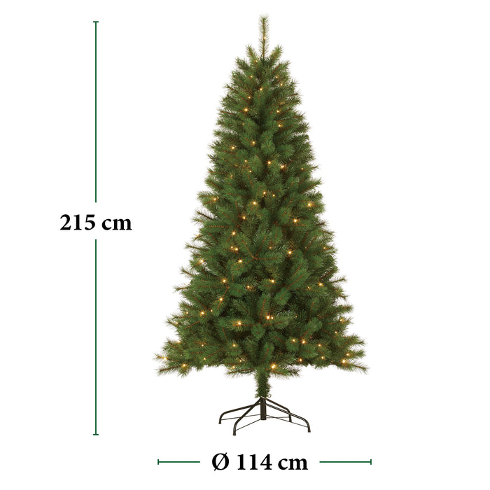 Giftsome - Kunstkerstboom 215 cm - Inclusief 200 Warm Witte LED's - Bivakshop