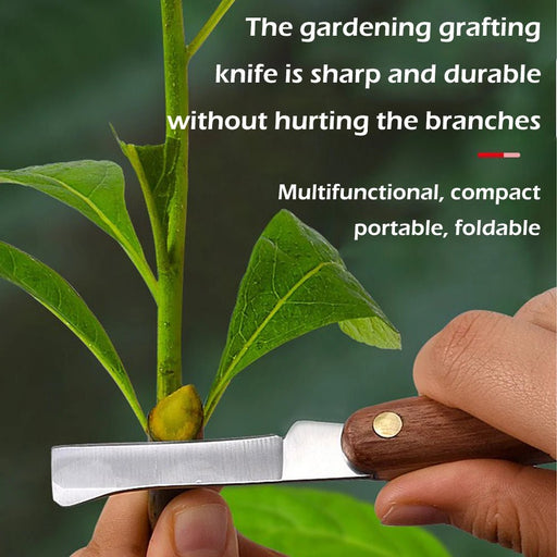 Grafting Tools Foldable Grafting Pruning Knife Professional Garden Grafting Cutter Stainless Steel Wooden Handle Grafting Knife - Bivakshop