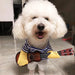 Grappig huisdier gitaar kostuum - Cosplay outfit voor honden en katten - Perfect voor feestdagen - Bivakshop
