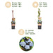 Green Boutiq - Blauwe Bes Vaccinium Corymbosum Bluecrop - Bosbes - 2 Stuks - Ø 15 cm - 50 cm - Bivakshop