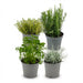 Green Boutiq – Italiaanse Kruidenmix – Set van 4 – Ø12 cm - Bivakshop
